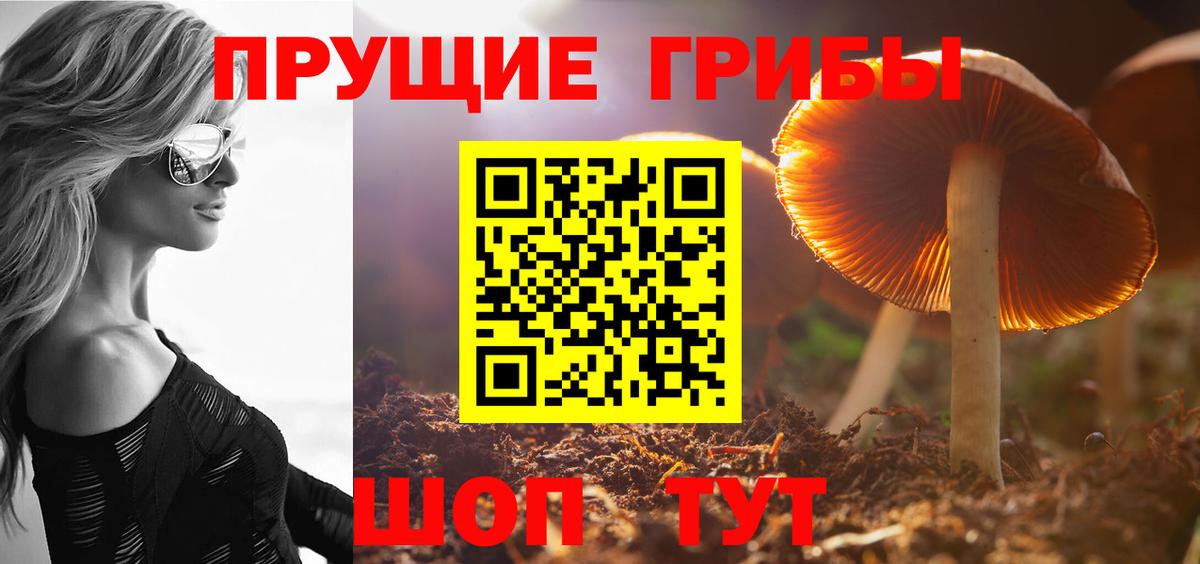 Галлюциногенные грибы ЛСД  закладки  Рославль  Вход с VPN 